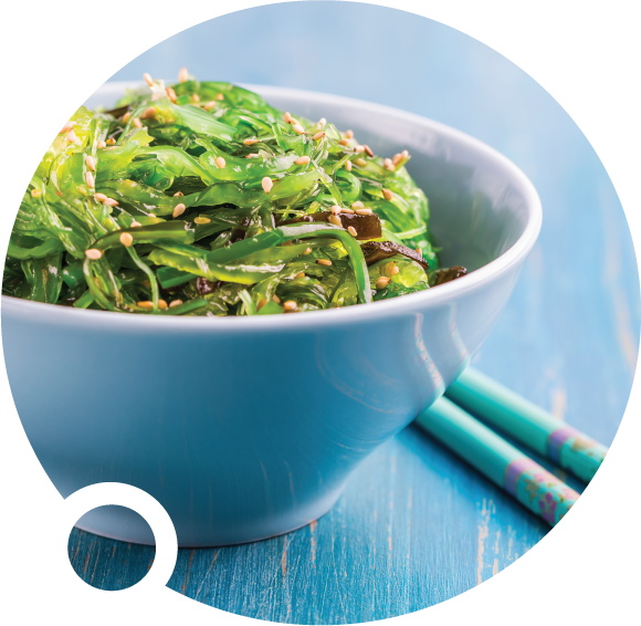 Plant Based DHA Image